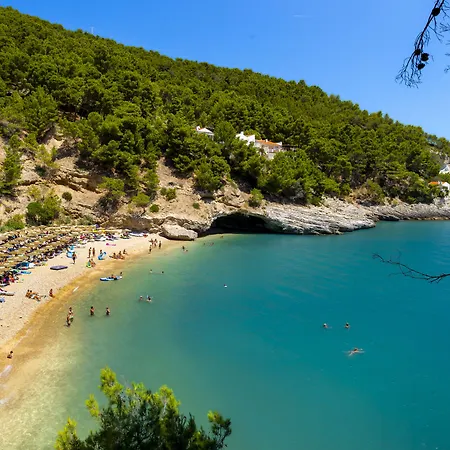- Del Faro 4* Pugnochiuso