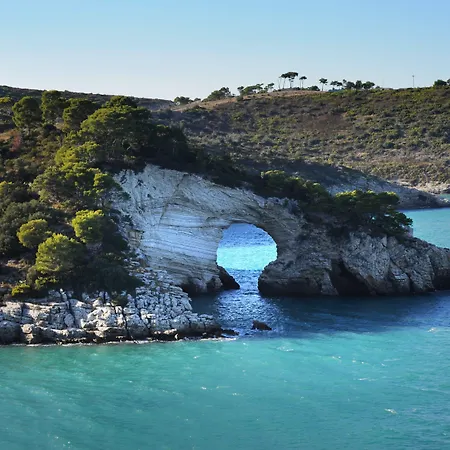 - Del Faro 4* Pugnochiuso