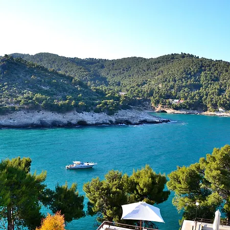 - Del Faro 4*